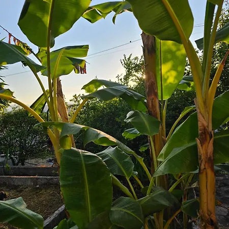 Kuqa Rent House 펜션 사밀